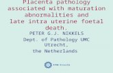 Pathology of the_placenta_-_lecture