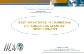 RFCD 2011: Robert A. Reid: Best Practices in Cluster Development
