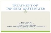 Treatment of tannery wastewater . susan