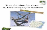 Tree cutting services and tree surgery in norfolk