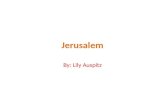 Lily - Jerusalem Presentation