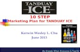 10 Step Marketing Plan For Tanduay Ice