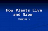 Chapter 1 plants