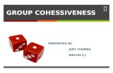 Group cohesion