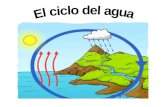 Objetivos: entender y describir el ciclo del agua en español.