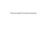 Financial environment2