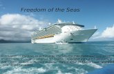 El Freedom of the Seas es el barco de crucero con mas capacidad que existe en el mundo, 2 veces la longitud del Titanic, capacidad para 4375 personas.