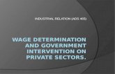 Wage determination and government intervention on private sectors