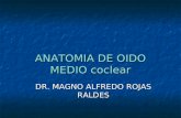 ANATOMIA DE OIDO MEDIO coclear DR. MAGNO ALFREDO ROJAS RALDES.