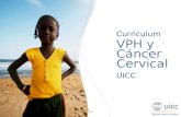 UICC HPV and Cervical Cancer Curriculum Chapter 2.e. Screening and diagnosis - Staging Prof. Achim Schneider, MD, MPH Curriculum VPH y Cáncer Cervical.