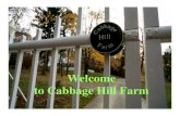 Welcome to Cabbage Hill Farm Aquaponics Systems