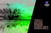 2012 Zumba Brand