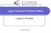 LUPIN TELEPOWER Corporate Profile New 06-10-10