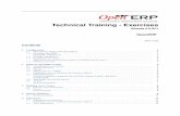 Openerp Technical Training v6 Exercises