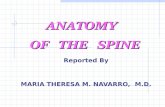 Anatomy of the Spine and Some Common Pathologies