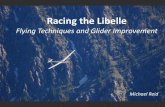 Racing the Libelle