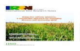 International Rice Research Notes Vol.28 No.2
