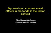 Mycotoxin Presentation