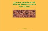 International Rice Research Notes Vol.23 No.3