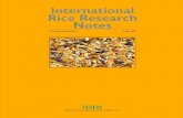 International Rice Research Notes Vol.19 No.2