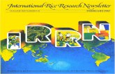 International Rice Research Newsletter Vol12 No.1