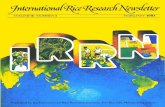 International Rice Research Newsletter Vol.6 No.1