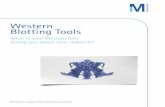 Western Blotting Tools Brochure