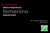 Sistema Reproductor femenino Segunda Parte Dr. Pablo Alvarez A ME-2012 Endocrinología.