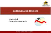 Knowledge Application Ltda. Copyright(r)1 GERENCIA DE RIESGO Material Complementario.