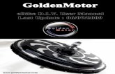 Golden Motor Pro Kit User Guide