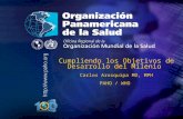 Organización Panamericana de la Salud.... Cumpliendo los Objetivos de Desarrollo del Milenio Carlos Arosquipa MD, MPH PAHO / WHO.