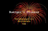 CASE STUDY - ThromboAngitis Obliterans (TAO) sample chapter1