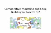 Rosetta Workshop Modeling