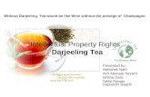 Darjeeling tea : A case of Intellectual Property Right - Geographical Indication