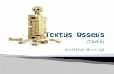 Textus Osseus