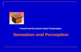 csa-b psych: perception and sensations