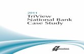2011 TriView Case Study