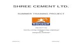 Shree Cement (2)