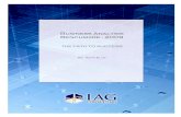 IAG Business Analysis Benchmark 2009