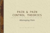 Pain Control Theories
