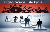 Organizational Life Cycle- E1 Group- TAPMI