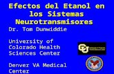 Dr. Tom Dunwiddie University of Colorado Health Sciences Center Denver VA Medical Center Efectos del Etanol en los Sistemas Neurotransmisores.
