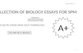 Compilation of Biology Essays - Updated