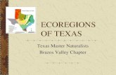Eco Regions of Texas_Texas Master Naturalists Brazos Valley Chapter