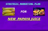Strategic Marketing Plan for Papaya Juice (Bangladesh)