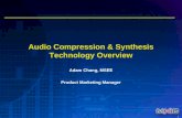 Audio Compression & Synthesis Technology