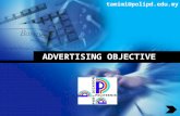 T1 - Advertising Objectives