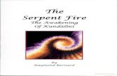 The Serpent Fire Awakening Kundalini by Raymond W Bernard