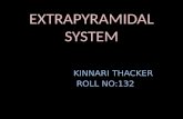 Extra Pyramidal System