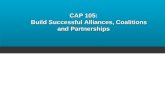 CAP 105: Build Successful Alliances, Coalitions and Partnerships.